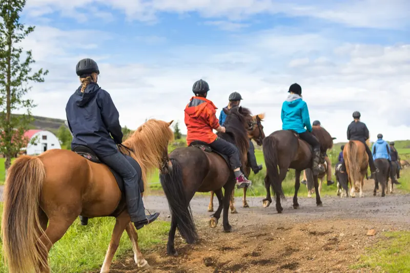 Horseback riding tour